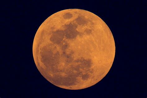 Hunters Orange Moon 5 Fast Facts You Need To Know