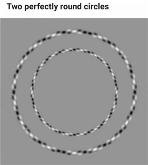Two Perfectly Round Circles Rmildlyinfuriating