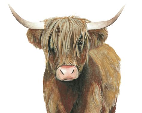 Highland Cattle Ii Painting By Grace Popp Fine Art America