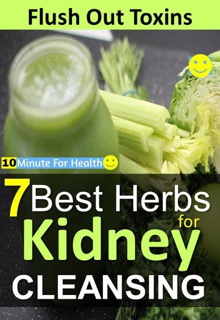 As with other cleansing procedures, a kidney cleanse requires you to avoid several foods. 7 Best Herbs for Kidney Cleansing | Food for kidney health ...