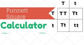 Fixed a bug with designation of polygenes without special. 3 Best Free Punnett Square Calculator For Windows