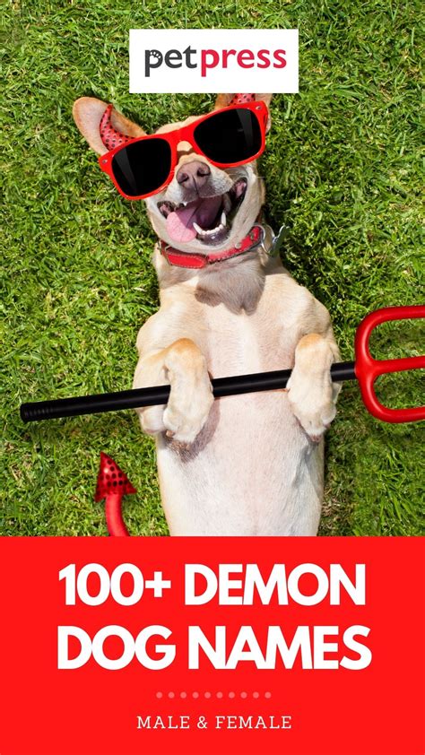 100 Tough Demon Dog Names For Your Fierce Pup