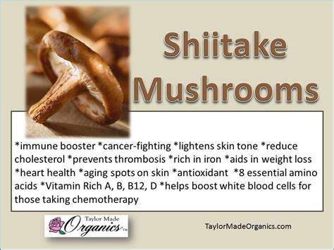 Shiitake Mushroom Benefits For Skin Skinsd
