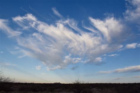 Cumulus clouds | Cloud-maven