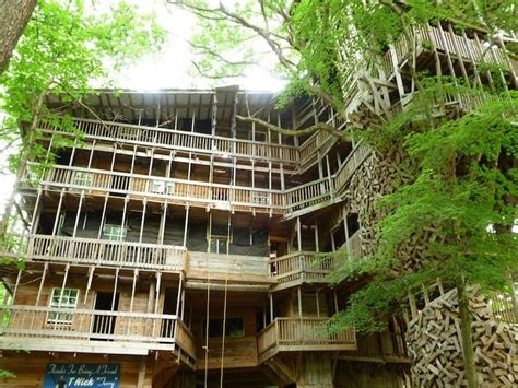 The Coolest Tree Houses In The World The 13 Most Amazing Homes Living