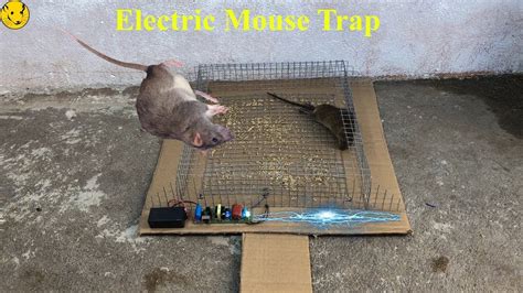 Wow Primitive Technology Electric Mouse Trapbest Trap Homemade Work