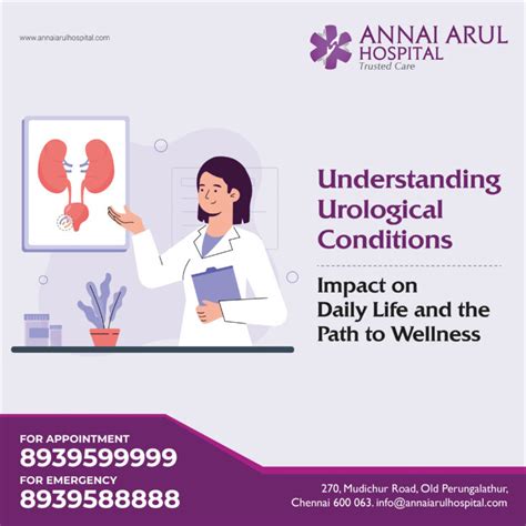 Understanding Urological Conditions Impact On Daily Life And The Path