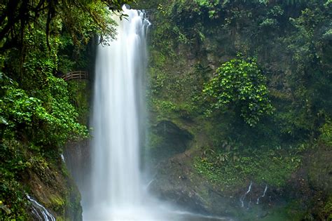 The Magia Blanca Waterall At The La Paz Waterfall Garden Costa Rica