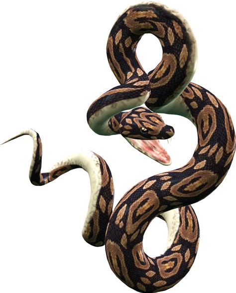 Diamondback Snake Png Transparent Image Png Arts