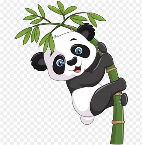 Baby Panda Climbing Bamboo Tree Gambar Panda Png Transparent With