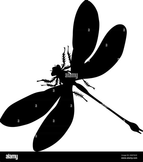 Silhouette Of Dragonfly Dragonfly Close Up Detailed Vector Dragonfly