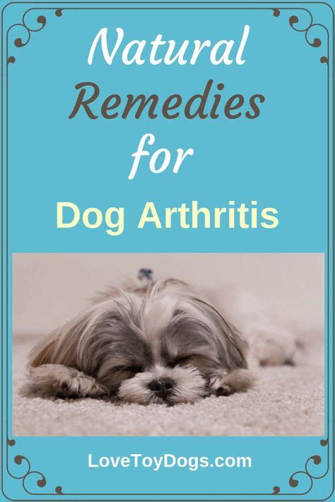 Dog Arthritis Natural Remedies Natural Remedies For Arthritis