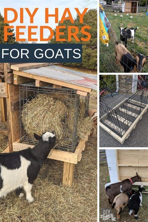 Diy Hay Feeder Goat Hay Feeder Raising Farm Animals Raising Goats