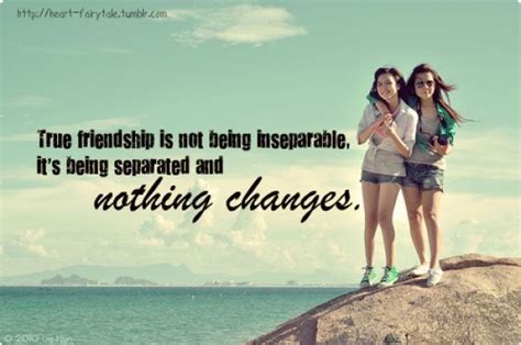 Quotes About Love Lost And Friendship Image Quotes At