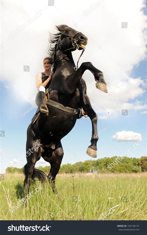 Young Man And Her Beautiful Black Stallion Rearing Up Stock Photo