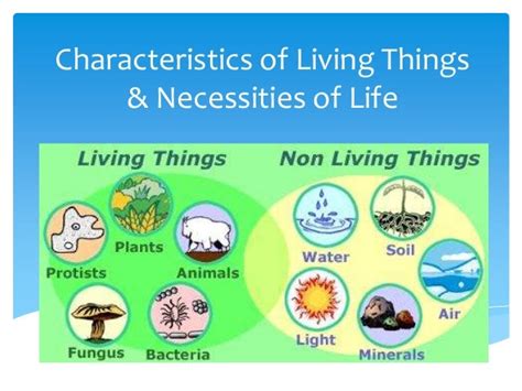 Characteristics Of Living Things Notes