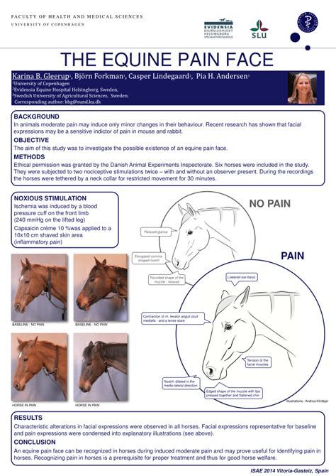 The Equine Pain Face Pdf Download Available
