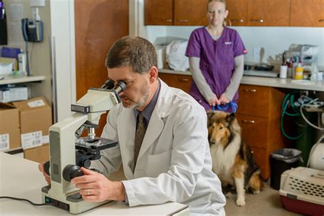 4 New Veterinary Medicine Advancements Paws And Claws Animal Hospital