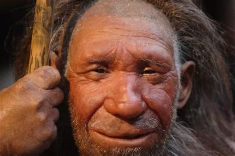 Cannibal Neanderthals Were Butchering And Eating Each Other 40000