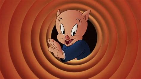 Why Does The Piggy From Looney Tunes Stutter Buna Time