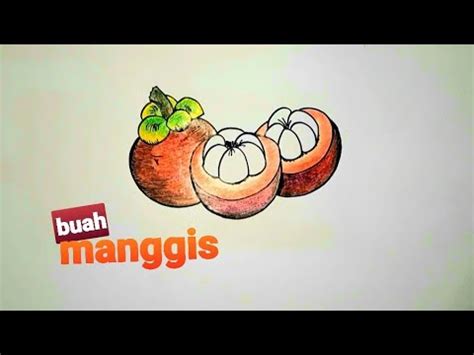 Patut diketahui bahwa kulit buah manggis di negeri kita mungkin masih dianggap remeh. Manggis " Cara menggambar dan mewarnai buah manggis - YouTube
