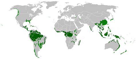 Location of tropical (dark green) and temperate/subtropical (light green) rainforests in the world. File:Rain forest location map.png