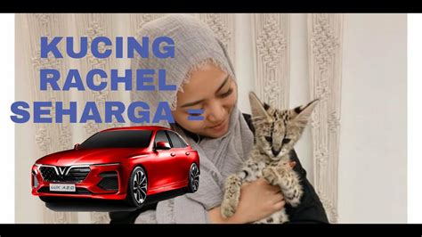 Kucing Rachel Vennya Harganya Ratusan Juta Setara Mobil Baru Youtube