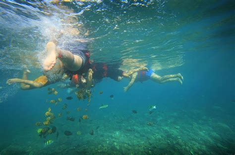 Snorkeling Di Pantai Amed Menikmati Keindahan Bawah Laut Bali