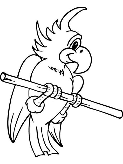 Cute Parrot Coloring Page Download And Print Online Coloring Pages For