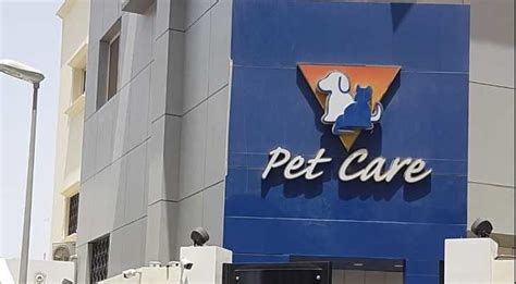 Top 10 Best Pet And Vet Clinics In Jeddah Life In Saudi Arabia