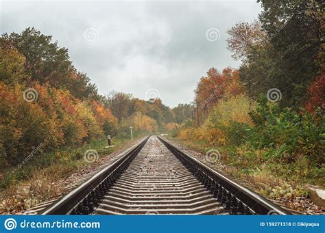 Autumn Railway Rails Extending Into The Distance Stock Photo Image