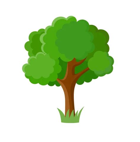 Pictures Cartoon Tree Picture Cartoon Tree — Stock Vector