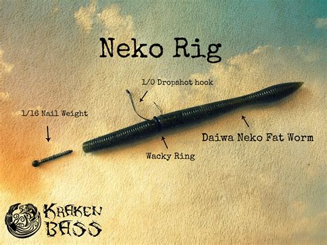 5 Best Neko Rig Baits