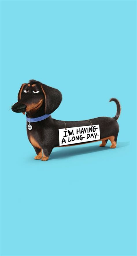 Funny Wallpapers IPhone (139 Wallpapers) – HD Wallpapers