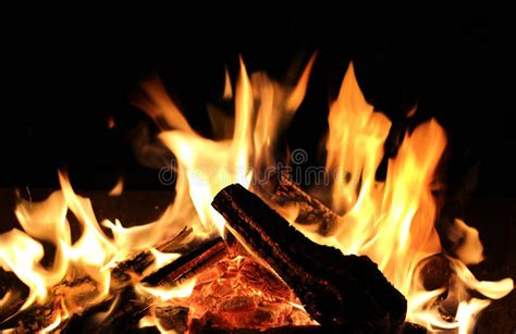 Burning Firewood Stock Image Image Of Campfire Blazing 49759443