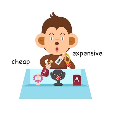 Premium Vector Opposite Cheap And Expensive Illustration