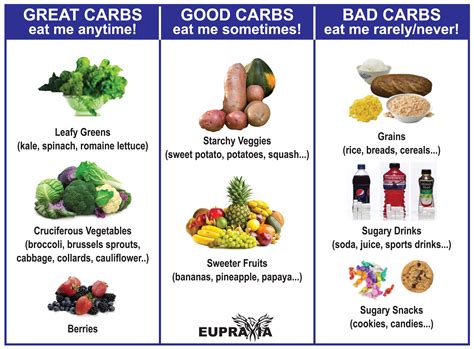 Good Carbs Bad Carbs Why Carbohydrates Matter To You Anatomical FX