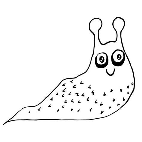 Slug Drawings Stock Photos Pictures And Royalty Free Images Istock