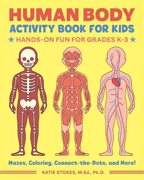 3rd Grade Human Body Activities And Lesson Plan Happy Homeschool Nest