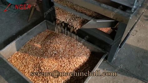 Commercial Peanut Peeling And Splitting Machine Groundnut Half Cutting