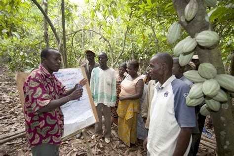 Supporting Cocoa Farmers And Communities Confectionery Production
