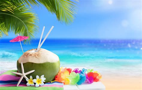 Photo Wallpaper Sand Sea Beach Summer Stay Summer Coconut On