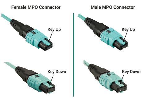 © macmillan education limited {{currentyearvalue}} dictionary | privacy policy | cookie settings | cookie policy | help | terms & conditions Fiber Optic MPO / MTP Connectors - Frequently Asked Questions