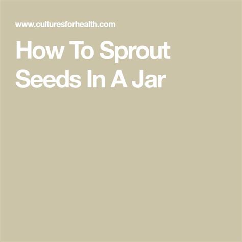 Seed Sprouting How To Sprout Seeds In A Jar Cultures For Health