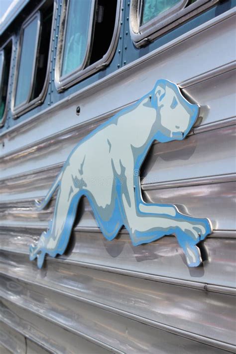 Greyhound Bus Logo Stock Photos Free And Royalty Free Stock Photos From