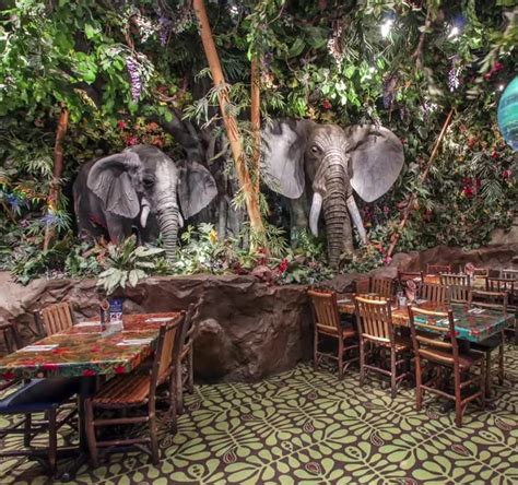 Rainforest Cafe Global Jungle Themed Restaurant Chain To Open In Malta