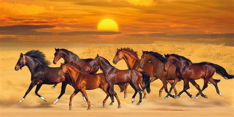 Brown Seven Running Horses On Sea Cost Sunshine Natural Background