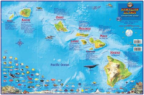 Hawaii Map Poster Hawaiian Islands Adventure Guide Laminated Poster