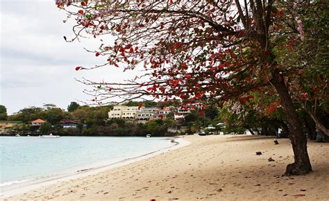 Hello Grenada See You Later America Bbc Beach Also Known As Morne