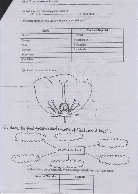 Worksheet for grade 1 urdu: The City School, PAF Chapter, Jr. C Section: science ...